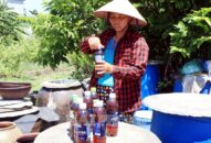 Mặn mòi mắm chắt Bàng La