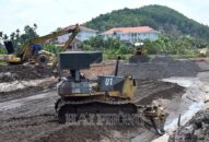 Thi công Dự án tuyến đường vào và Khu Bảo tồn bãi cọc Cao Quỳ: Bảo đảm tiến độ đúng kế hoạch