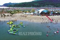 Hấp dẫn Đồi Rồng – Đồ Sơn