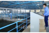 Phát huy dân chủ, bảo đảm quyền lợi người lao động