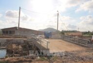 Quận Kiến An: Xử lý dứt điểm vụ việc xây dựng trang trại trên đất nông nghiệp