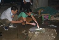 Sốt xuất huyết có nguy cơ bùng phát trên diện rộng