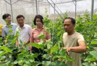 Tham quan các mô hình “Dân vận khéo” tiêu biểu tại huyện Kiến Thụy và quận Lê Chân