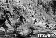 [Photo] TNXP đóng góp to lớn cho sự nghiệp cách mạng của Đảng, dân tộc