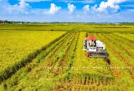 Cuộc thi báo chí viết và thi ảnh về nông thôn mới