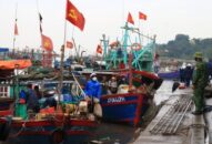 Quận Đồ Sơn:  Kiên quyết xử lý nghiêm các hành vi sử dụng te điện, giã điện, ngư lưới cụ bị cấm để khai thác hải sản