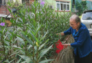 Nữ Chi Hội trưởng Chữ thập đỏ gần 90 tuổi vẫn nhiệt huyết vì cộng đồng