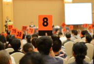 Thông báo đấu giá QSDĐ tại xã Lập Lễ – huyện Thủy Nguyên