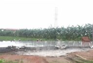 Nhiều vi phạm trong lĩnh vực đất đai tại xã Đại Thắng (Tiên Lãng)