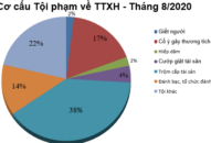 Số liệu về công tác đấu tranh phòng, chống tội phạm tháng 8/2020