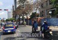 Làm rõ nguyên nhân, hiện tượng một số cây xanh trên tuyến đường Lê Hồng Phong chết bất thường