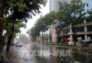 Bão số 5 làm một người chết, nhiều người bị thương và hàng ngàn ngôi nhà bị tốc mái