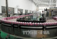 Lấp “lỗ hổng” cổ phần hóa doanh nghiệp nhà nước