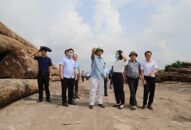 Khẩn trương xử lý các vi phạm lấn chiếm đất đai tại quận Hải An