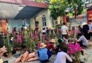 Đoàn phường Thượng Lý (Hồng Bàng): Trồng 980 cây hoa giấy xây dựng công trình “Tuyến đường hoa”
