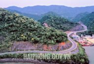 Đề xuất Bộ Văn hóa, Thể thao và Du lịch cho ý kiến về Dự án trồng hoa hai bên tuyến đường xuyên đảo Cát Bà