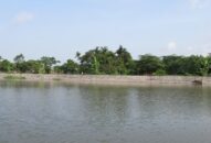 Bảo vệ nguồn nước ngọt thành phố – Sự sống còn của hàng triệu người dân