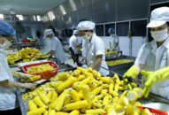 Quảng bá tiềm năng, thế mạnh xuất khẩu của nông sản, thực phẩm Việt