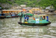 Huyện Cát Hải ban hành Kế hoạch phát động “Ngày toàn dân chung tay vì huyện đảo xanh-sạch-đẹp” lần thứ 4