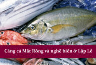 Cảng cá Mắt Rồng và nghề biển ở Lập Lễ