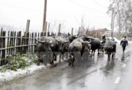 Dự báo thời tiết hôm nay 14/9: Bắc Bộ mưa to, đề phòng lũ quét, sạt lở đất