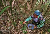 Chuẩn nghèo giai đoạn 2021-2025: Nhận diện hộ nghèo toàn hiện hơn