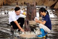 Khu bảo tồn bãi cọc Cao Quỳ: Công trình lịch sử tầm vóc hướng tới tương lai rộng mở