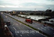 Tăng cường quản lý hoạt động vận tải bằng xe container và xe tải nặng