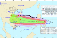 Bão số 8 vào Hà Tĩnh đến Quảng Trị, bão Molave giật cấp 12 đi vào biển Đông