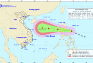 Biển Đông chuẩn bị đón bão số 8, cảnh báo thông tin giả mạo liên quan đến bão số 8