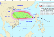 Tin bão trên biển Đông, cơn bão số 8