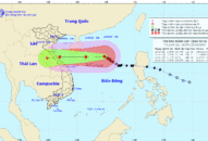 Tin bão mới nhất: Bão số 8 gây mưa dông gió lớn ở miền Trung từ đêm mai