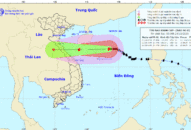Bão số 8 giật cấp 13, đang cách quần đảo Hoàng Sa 160km