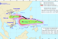 Tin bão khẩn cấp cơn bão số 8