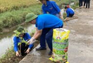 Trồng mới 236.825 cây xanh, xóa 6 điểm đen về ô nhiễm môi trường