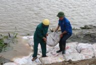 Phát hiện 9 vụ vi phạm pháp luật về đê điều