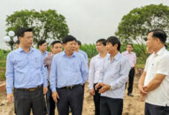 Đẩy nhanh tiến độ xây dựng hệ thống giao thông xã nông thôn mới kiểu mẫu năm 2020 tại các huyện Tiên Lãng và An Dương