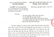 Thúc đẩy các mặt hàng nông sản, hoa quả Việt Nam vào thị trường Trung Quốc