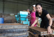 Từ một mô hình nhỏ, nghĩ về những dự án lớn