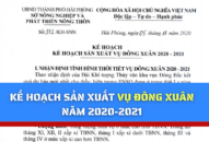 Kế hoạch sản xuất vụ Đông Xuân năm 2020-2021