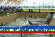 Khu bảo tồn bãi cọc Cao Quỳ: Góc nhìn mới về lịch sử Việt Nam