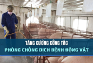 Tăng cường công tác phòng chống dịch bệnh động vật