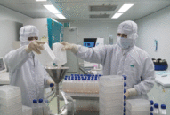 115 mẫu xét nghiệm sàng lọc có kết quả âm tính với vi rút SARS-CoV-2