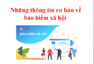 Những thông tin cơ bản về bảo hiểm xã hội