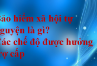 Bảo hiểm xã hội tự nguyện là gì? Các chế độ được hưởng trợ cấp
