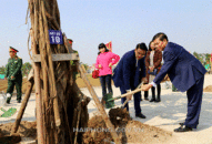 Các quận, huyện sẽ đồng loạt ra quân phát động Tết trồng cây vào hồi 9h30, ngày 17/2/2021