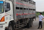 Hải Phòng: Sẽ xem xét cho từng trường hợp chở hàng từ Hải Dương vào thành phố