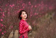 Dự báo thời tiết từ mùng 1 Tết đến mùng 5 Tết Nguyên đán Tân Sửu 2021