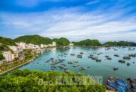 Huyện Cát Hải: Tạm dừng đón khách du lịch ra Cát Bà từ ngày 18-2