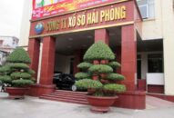 Công ty TNHH MTV Xổ số Hải Phòng thông báo tạm dừng phát hành xổ số